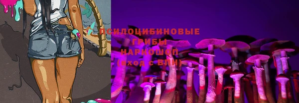 дмт Балахна
