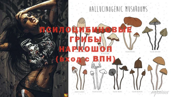 дмт Балахна