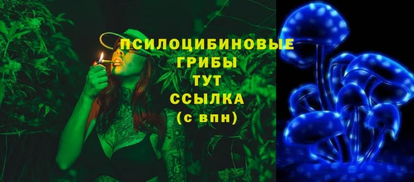 дмт Балахна