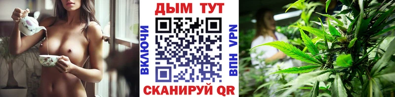 ссылка на мегу вход  Гудермес  darknet формула  Бошки Шишки сатива 